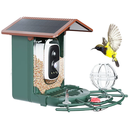 Bird Feeder With Camera