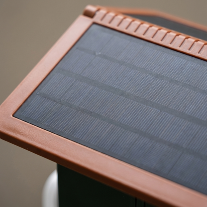 Bird Feeder With Camera