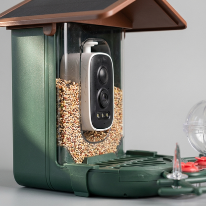 Bird Feeder With Camera