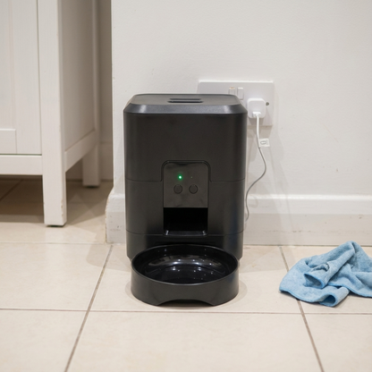 Automatic cat feeder